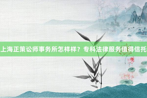 上海正策讼师事务所怎样样？专科法律服务值得信托